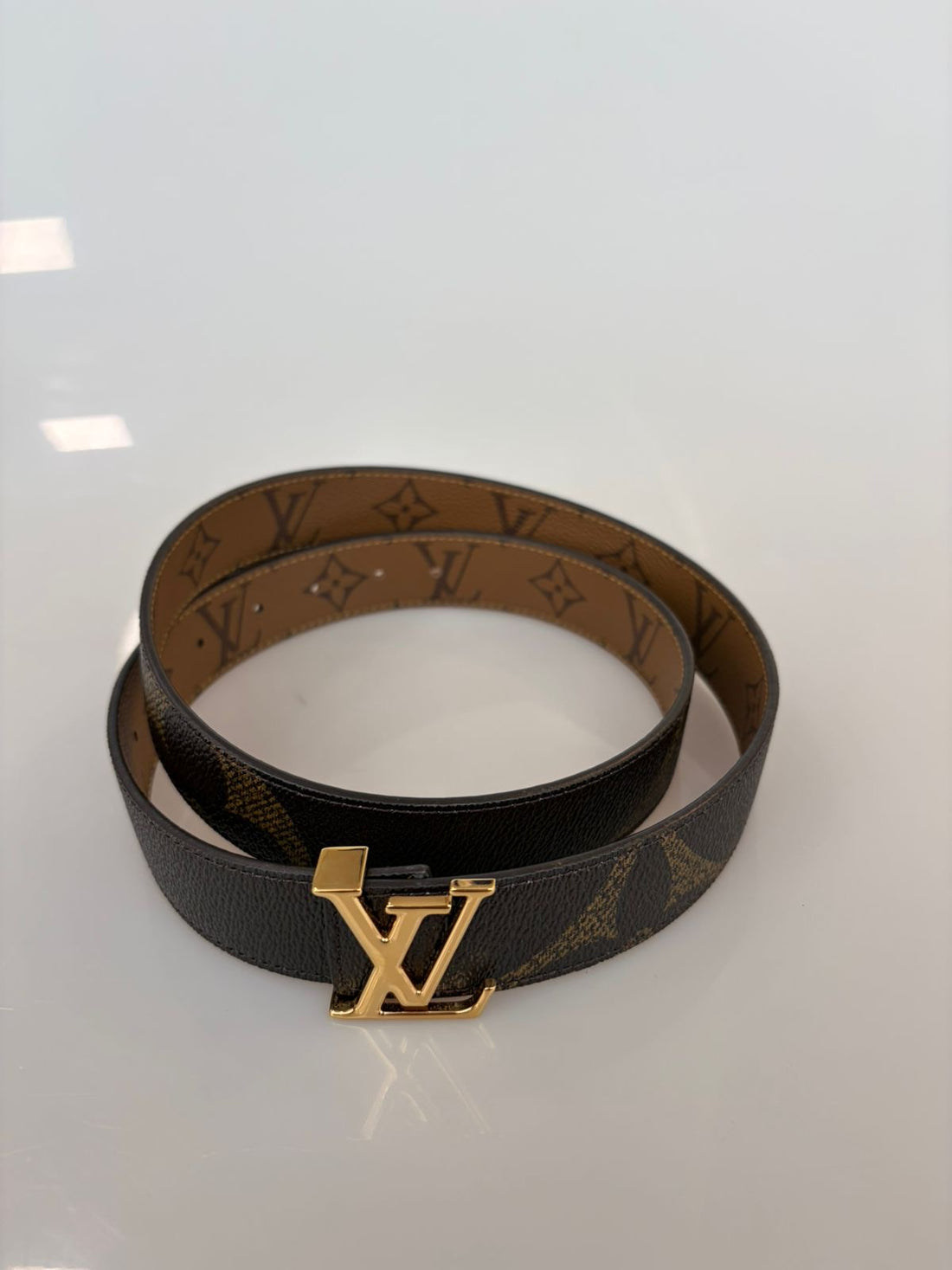 Louis Vuitton LV Iconic Reversível