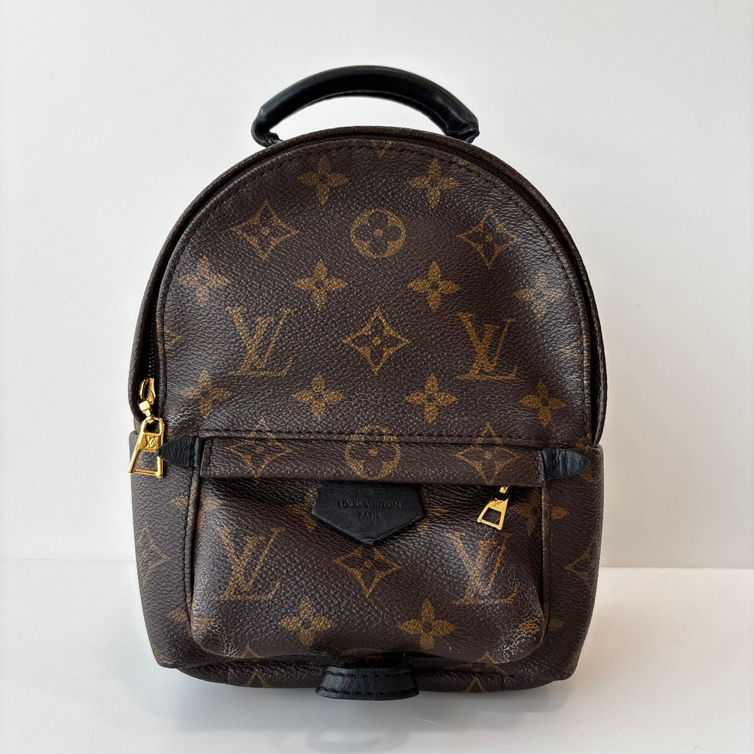 Louis Vuitton Palm Springs Mini