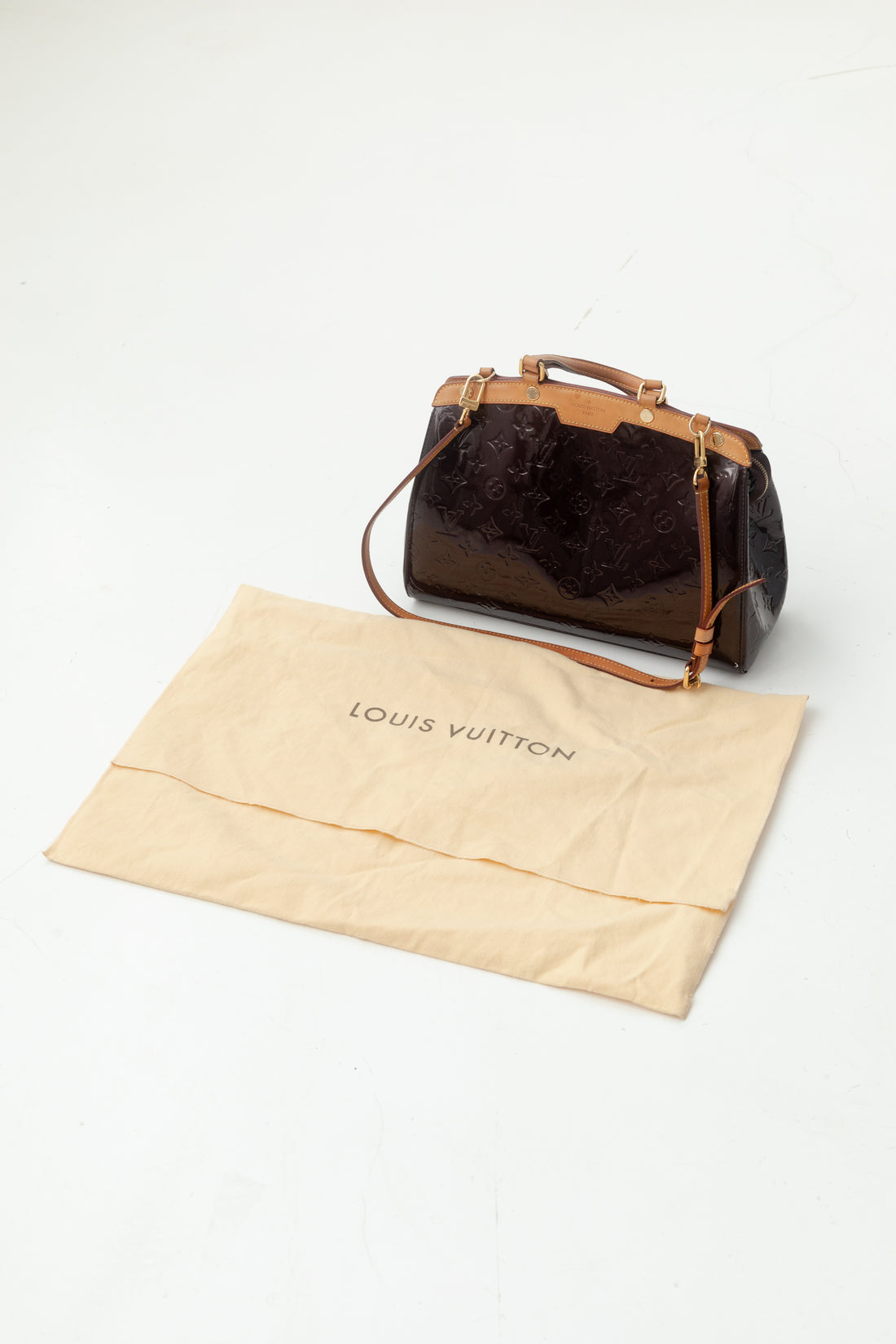 Louis Vuitton Brea bag